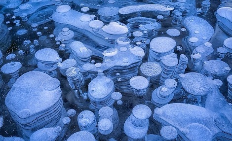 Frozen Air Bubble in Abraham Lake