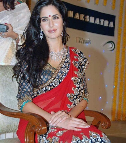 Indian Actress Saree
