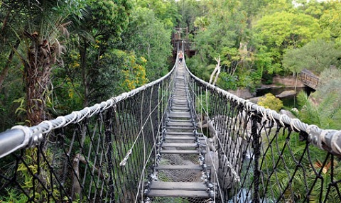 Top Ten Most Dangerous Bridges Around The World - World Blaze