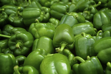 Green Bell Pepper 