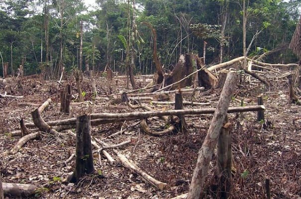 Countries with highest Deforestation