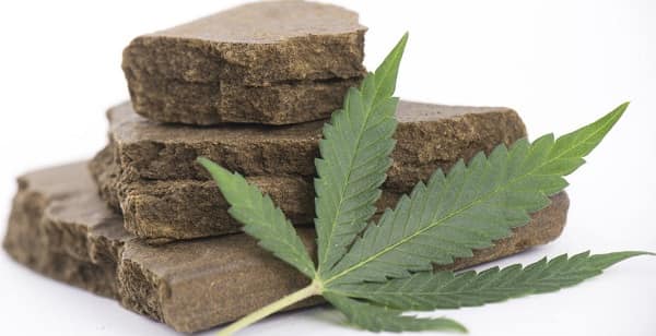 Hashish Producing Countries in the World